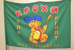 Стариковская агитка 2015.