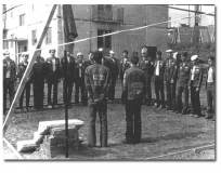Целина 1981