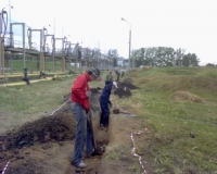 Целина 2007 года