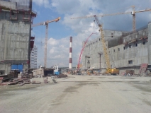 Целина 2011 года