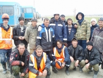 11 целина