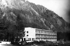 Целина 1978